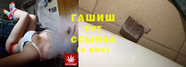 прущие грибы Ельня