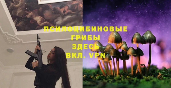 ешки Мегион
