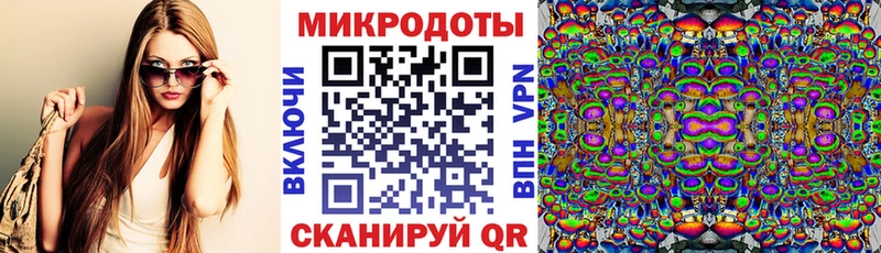 Псилоцибиновые грибы Cubensis Новоузенск